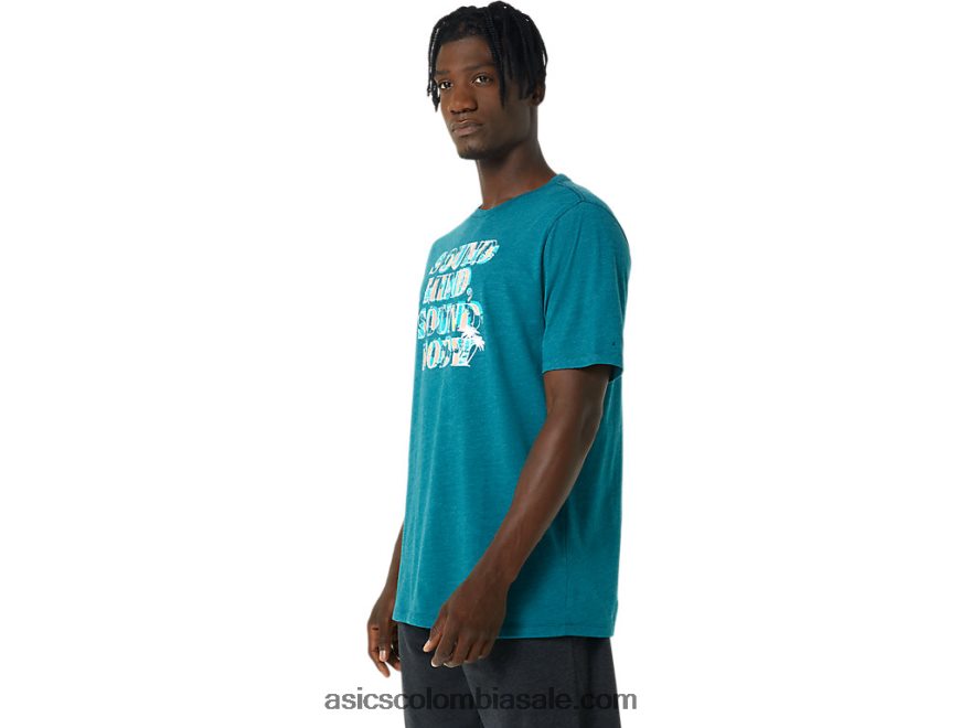 hombres Asics camiseta con eslogan de hibisco brezo de pino de terciopelo 20X82N798