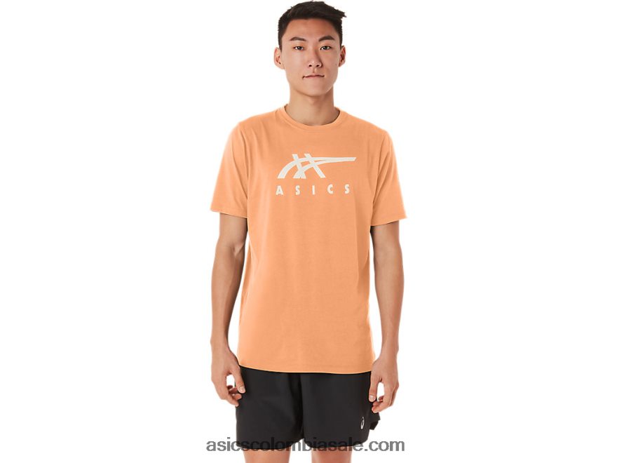 hombres Asics playera de manga corta a rayas duna de verano 20X82N70