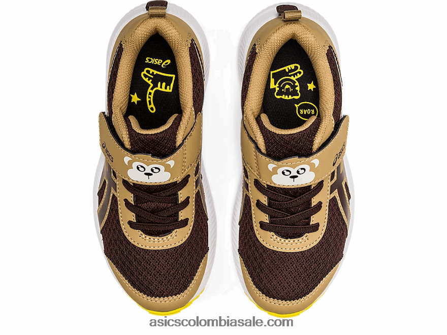 niños Asics contend 7 preescolar café/café 20X82N4482